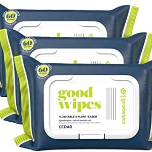 Goodwipes Flushable Wipes, Aloe & Botanicals, 180 Count