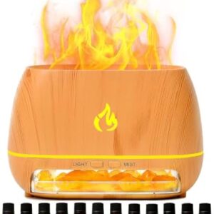 Himalayan Salt Lamp Diffuser Set with 12 Essential Oils