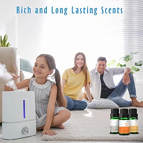 MitFlor Beach Fragrance Oils Set, 6x10ml for Diffuser & Candles - Image 4