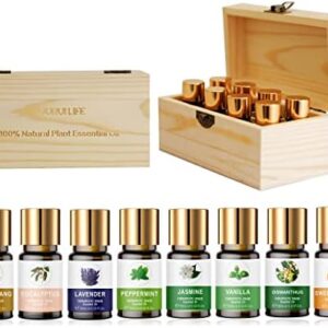 Pure Organic Essential Oils Set 4 Bottles Lavender Ylang Ylang Tea Tree Eucalyptus