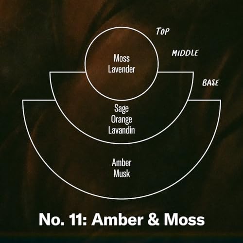 P.F. Candle Co. Amber & Moss Soy Candle, 7.2 oz - Image 3