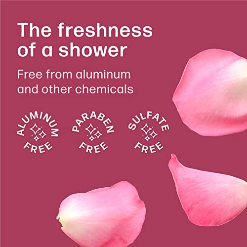 Rose Deodorant Wipes ? 50 Pack, Aluminum & Paraben Free - Image 4