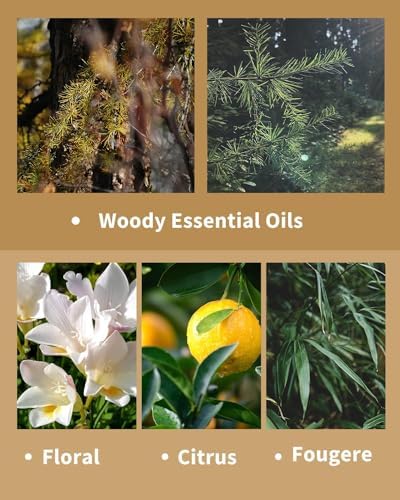 VTS Hotel Scent Essential Oils Gift Set (5 x 30ml) - Image 5