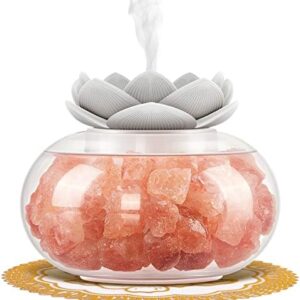 YeeQue Himalayan Salt Lamp Diffuser with LED Night Light
