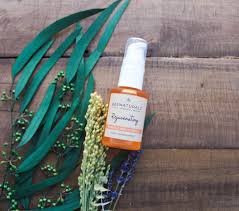 Bee Naturalz CoQ10 Beauty Serum 1 oz Hydrating Anti-Aging Formula