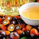Batana Oil Smooth Hair