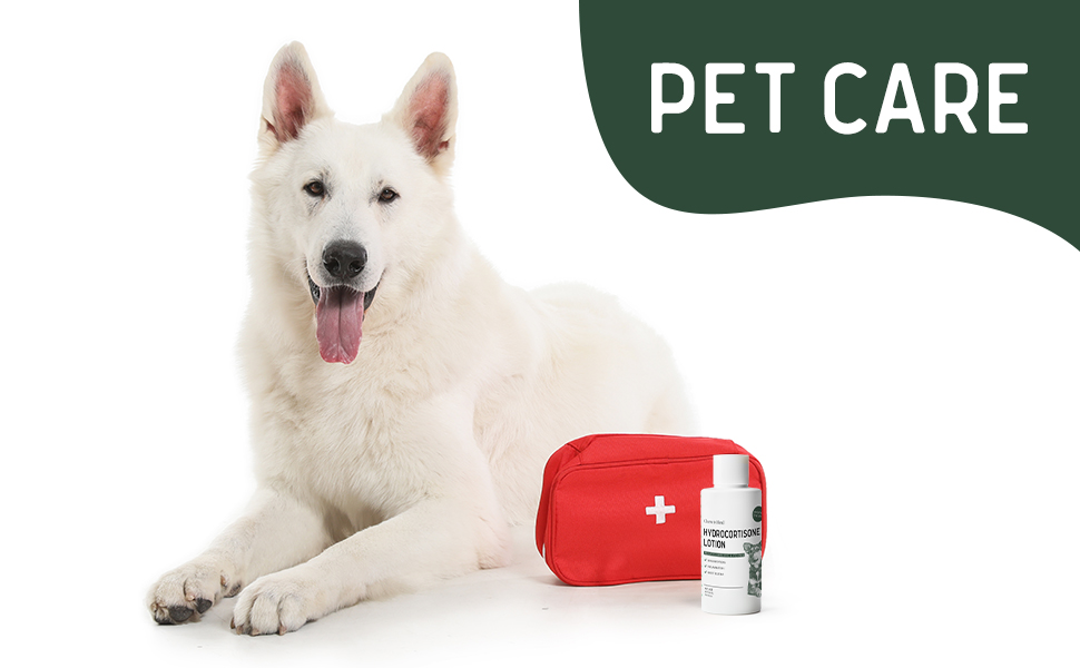 Applying lotion to dog's belly