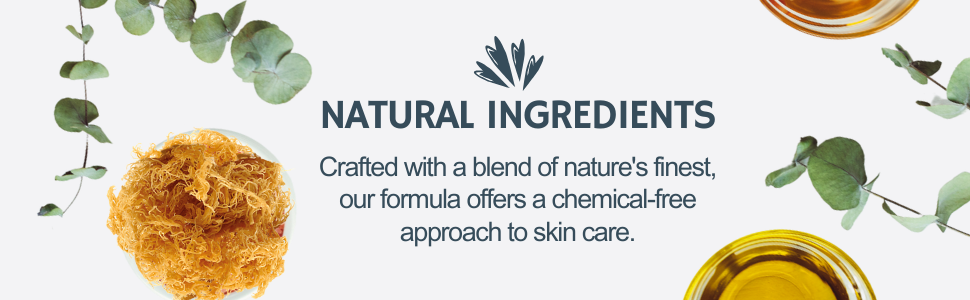 sea moss, natural ingredients, clean skincare, chemical-free, eucalyptus, essential oils, plant-base