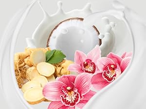 Biotera Pre Post Biotic Ingredients
