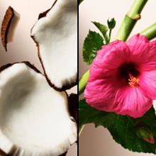 Suave Dry Shampoo Sweet Coconut and Hibiscus
