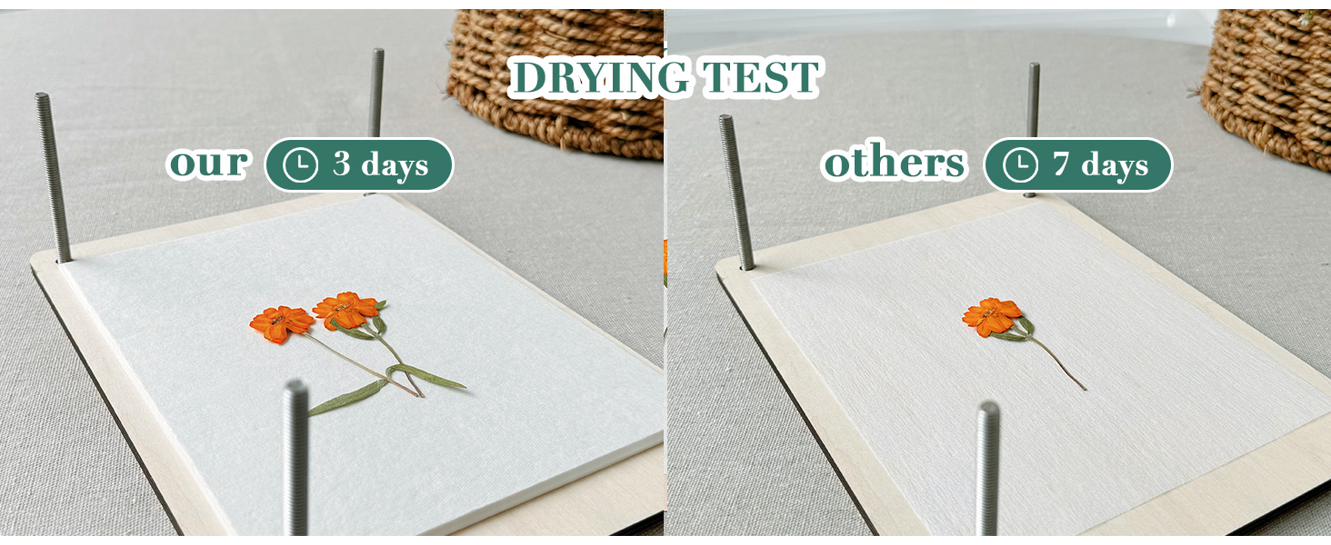 Blotting Paper for Flower Press