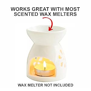 Wax melter