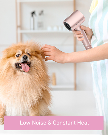 Hair Dryer Image