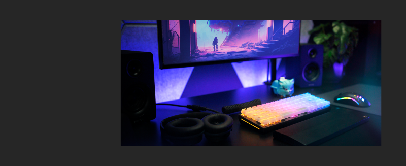 OUR FAVOURITE CUSTOMIZATION OPTIONS