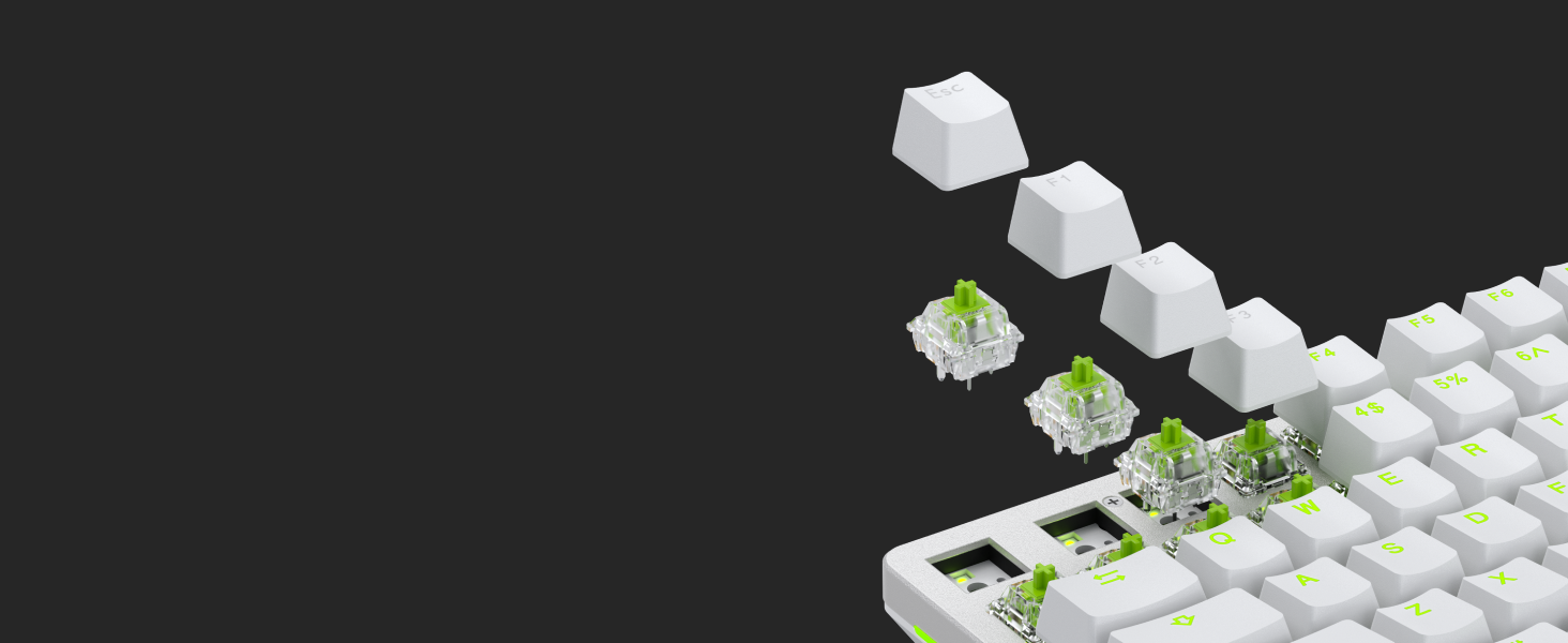 SWITCHES - RAPTOR (CLICKY)