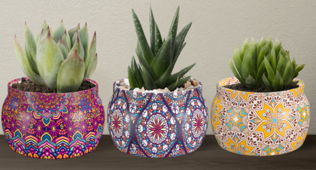 Decorated Empty Cans