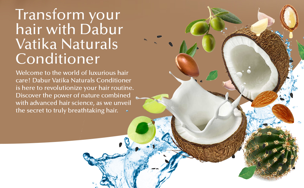 Vatika Naturals Conditioners