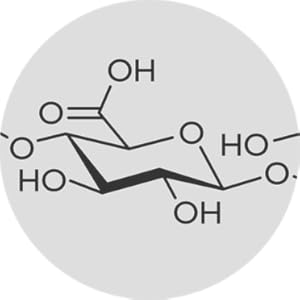 Cactus Flower, Squalane, Trehalose, Hyaluronic Acid
