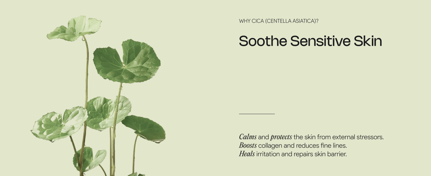 why cica centella asiatica? to soothe sensitive skin repair skin barrier reduce fine lines