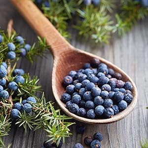 Juniper berries in spoon