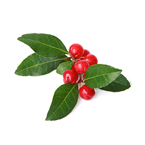 Kwan Loong Active Ingredient Methyl Salicylate