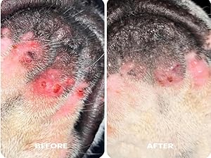Inflammation of chin