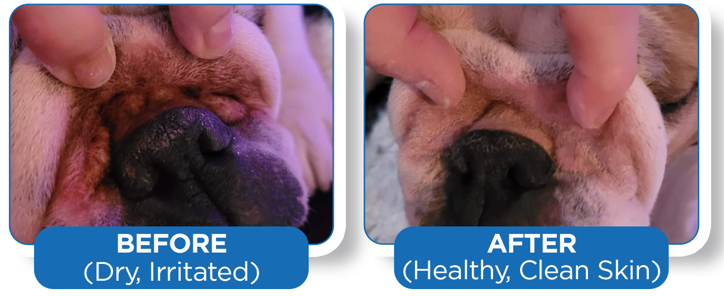 Dog Wrinkle Balm