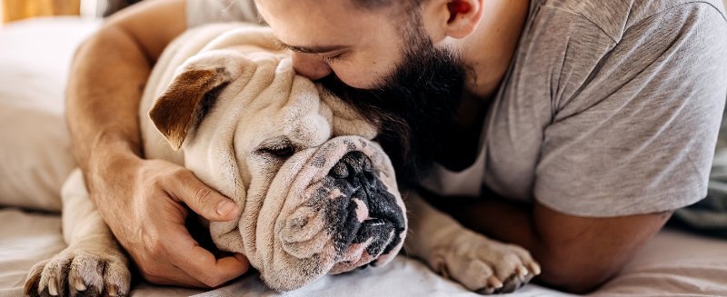 pet wrinkle balm