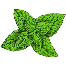 Tea Tree Oil