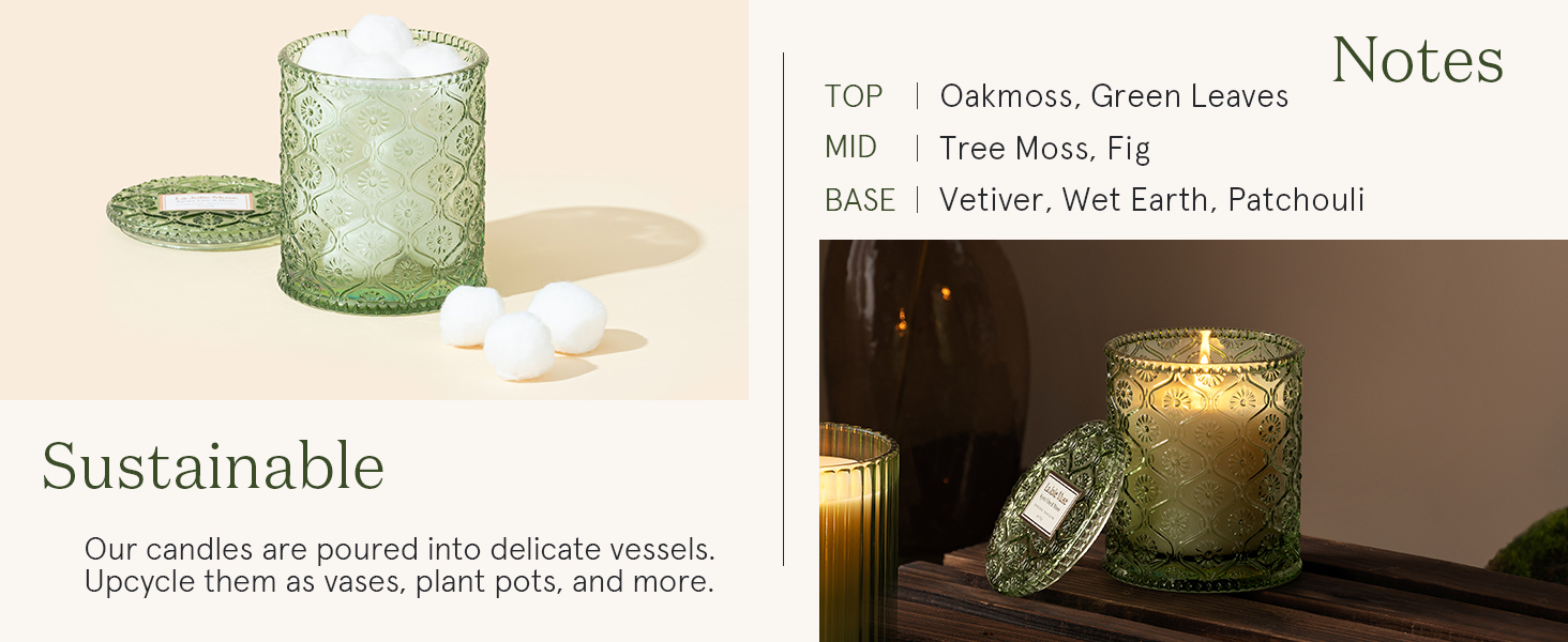 Kyoto Vine & Moss Candle