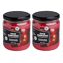 McIntosh Apple 2 Pack