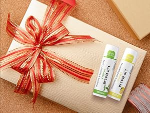 Dmsky Lip Balm