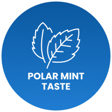 Polar Mint Taste Icon