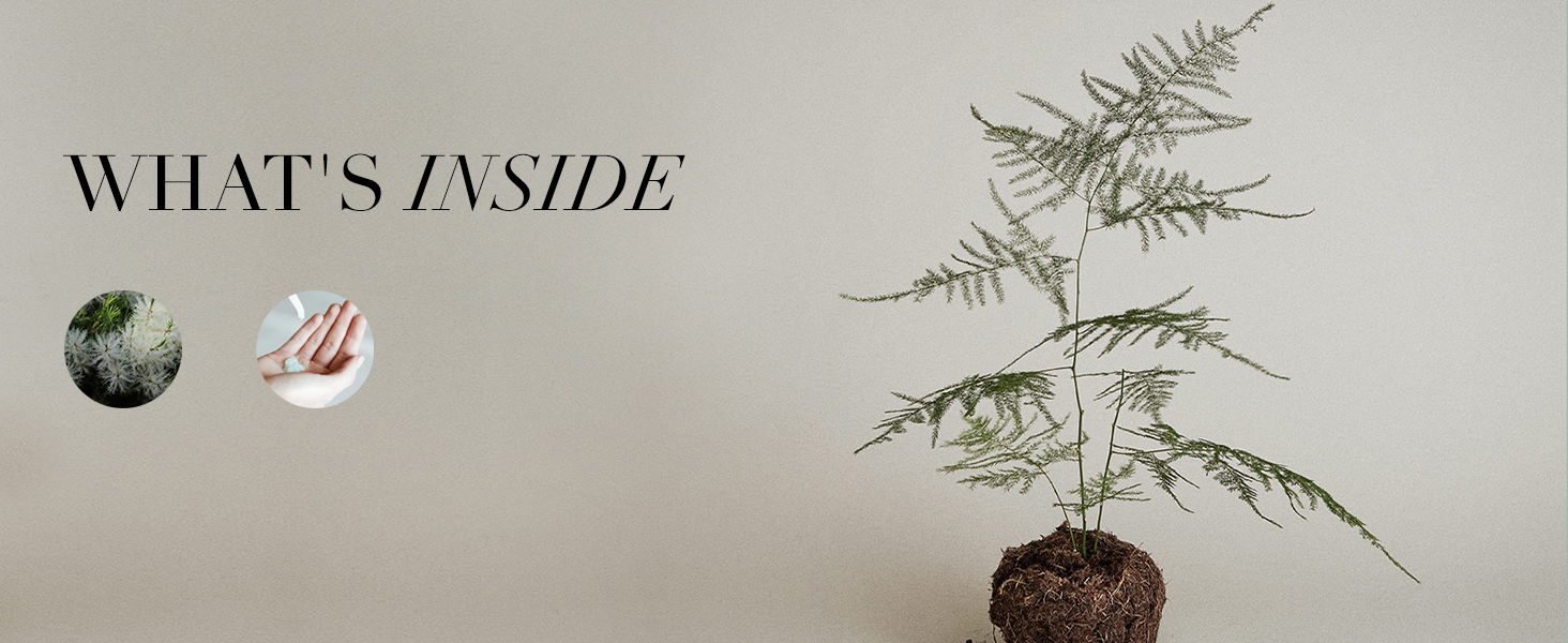 Sustainable Packaging