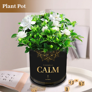 Product Detail Image 8
