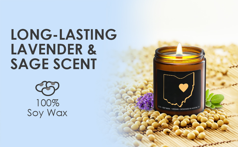 ohio gifts from ohio candle souvenir gifts from ohio themed gifts ohio gifts for women candles