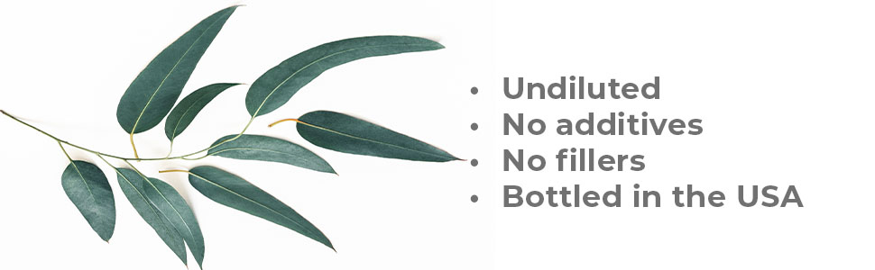 Eucalyptus Essential Oil Therapeutic Grade Premium Quality Aromatherapy