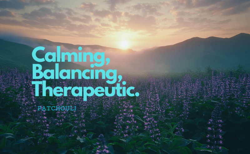 Calming, balancing, therapeutic. Patchouli