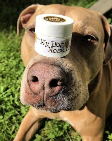 My Dog Nose It Product Image