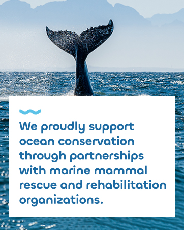Ocean Conservation