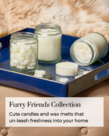 pet odor removing wax melts and scented candles