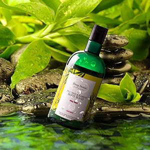 Tea Tree and Bamboo Body wash Gel