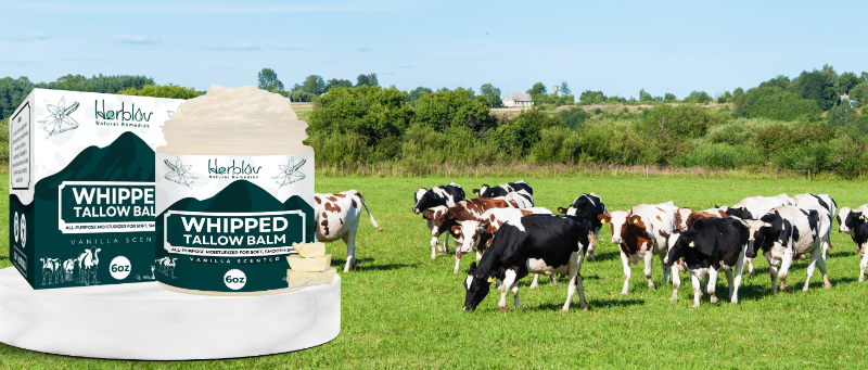 Beef Tallow Balm
