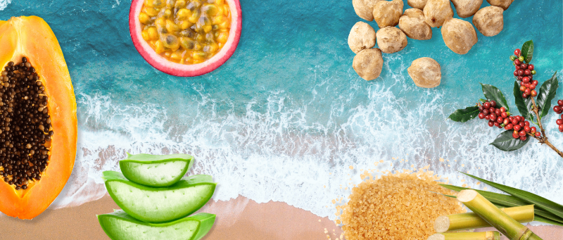 Hanalei Cruelty-Free Promise