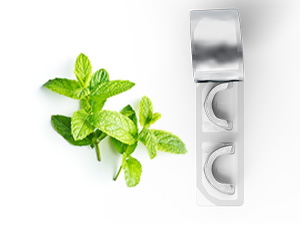 mint flavor