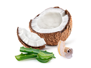 coconut