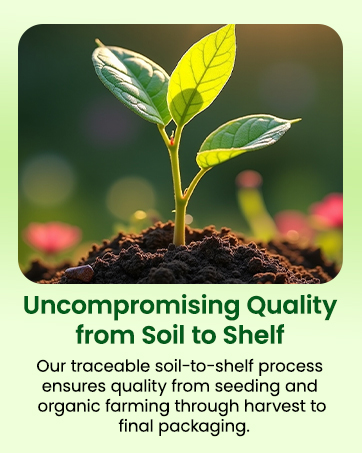 soil to shelf