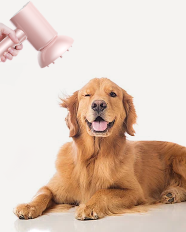 hair dryer