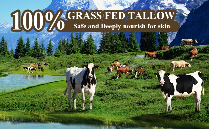 Beef Tallow Balm