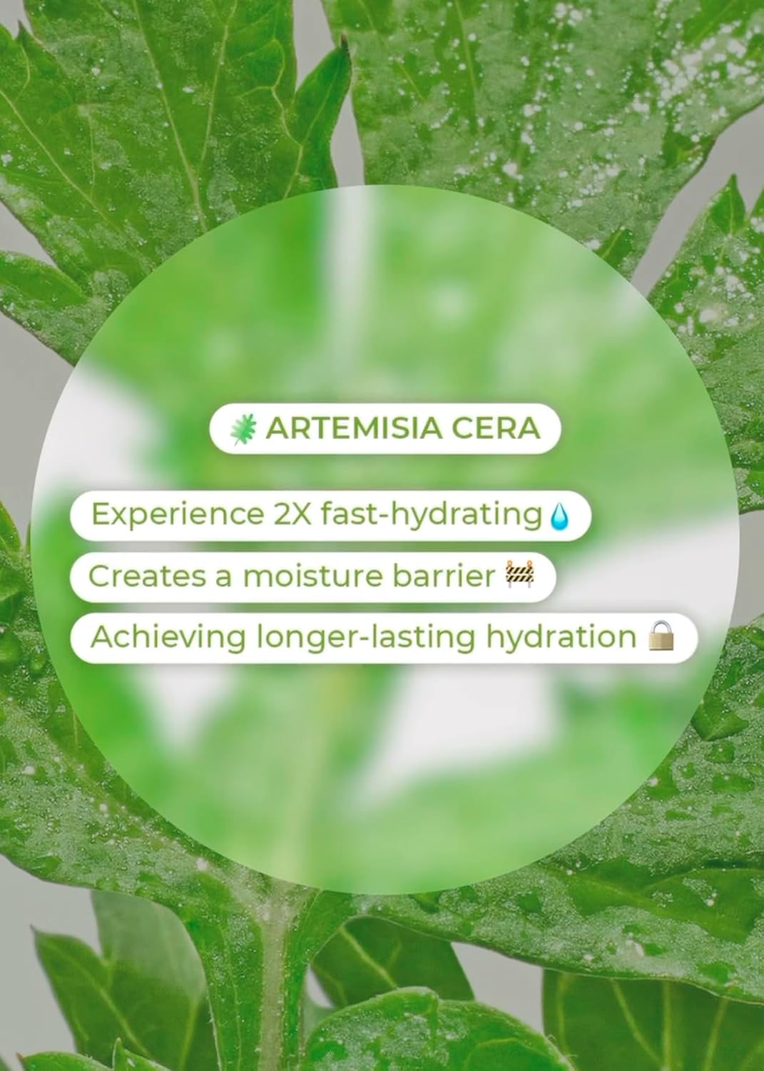 BRING GREEN Artemisia Cera Calming Moisture Gel Cream | Vegan Glass Skin Daily Skincare for Intense Moisturization for Dry, Oily skin, Calming Sensitive Skin, Irritated Skin 2.53 Fl. Oz. - Image 4